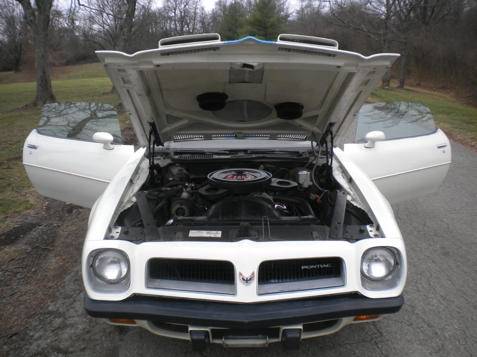 1974 Pontiac Firebird 2nd Gen - Image 7 of 21