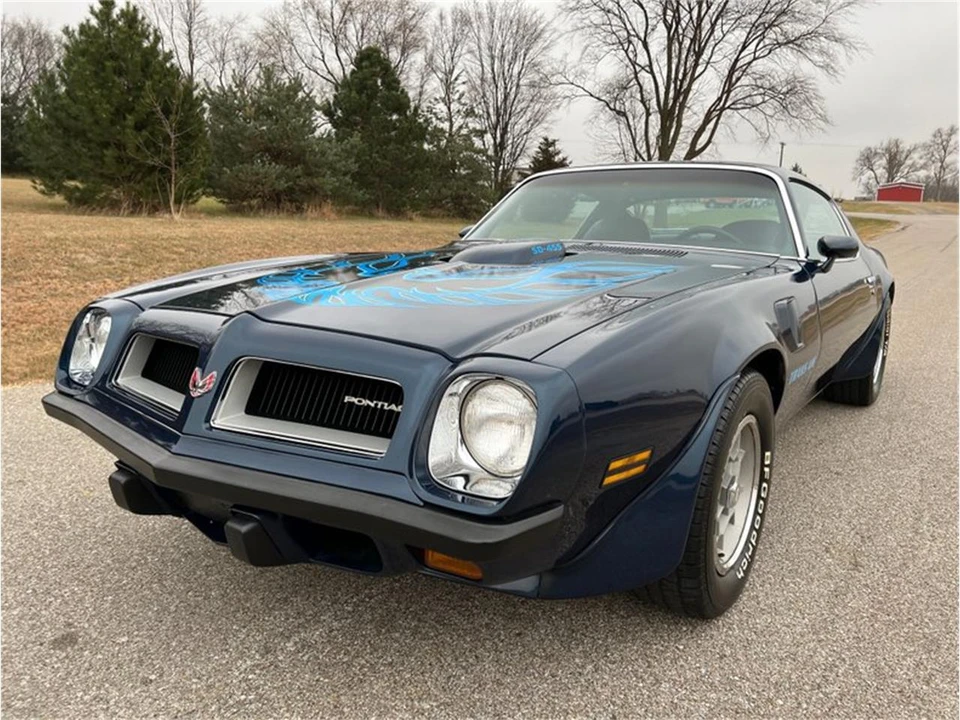 1974 Pontiac Firebird Trans Am 2nd Gen - Image 10 of 31