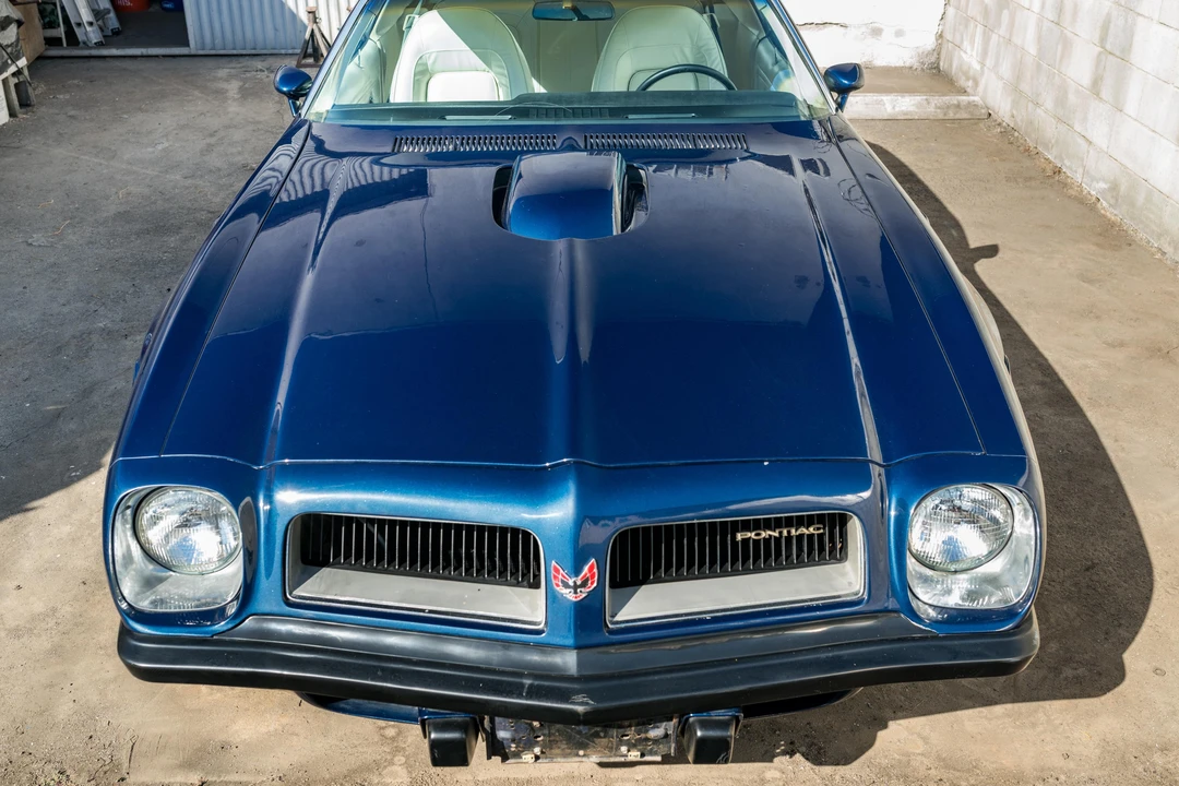 1974 Pontiac Firebird Trans Am 2nd Gen - Image 14 of 31