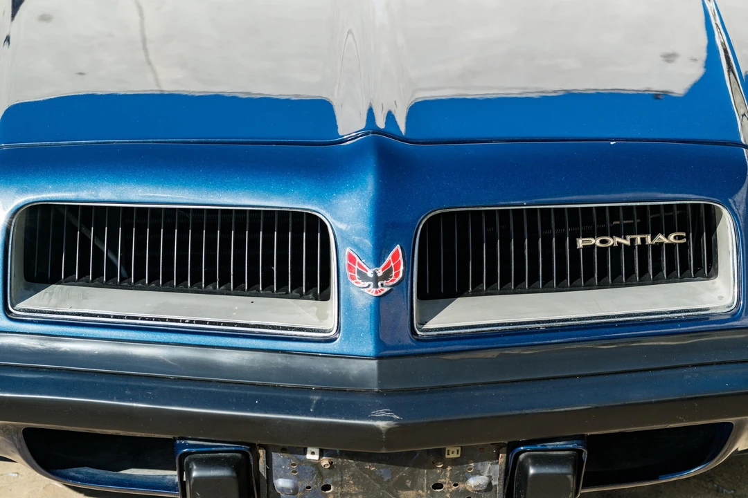 1974 Pontiac Firebird Trans Am 2nd Gen - Image 16 of 31