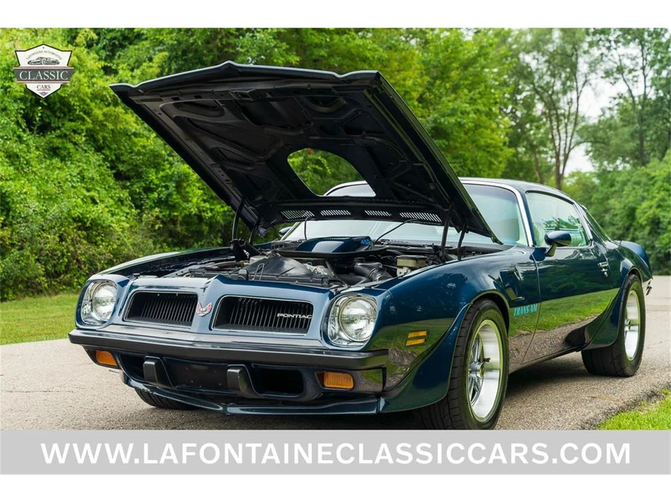 1974 Pontiac Firebird Trans Am 2nd Gen - Image 16 of 31