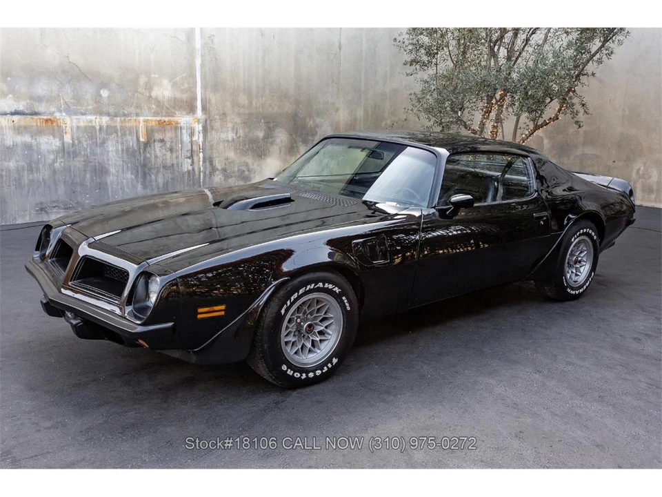 1974 Pontiac Firebird Trans Am 2nd Gen - Image 7 of 31