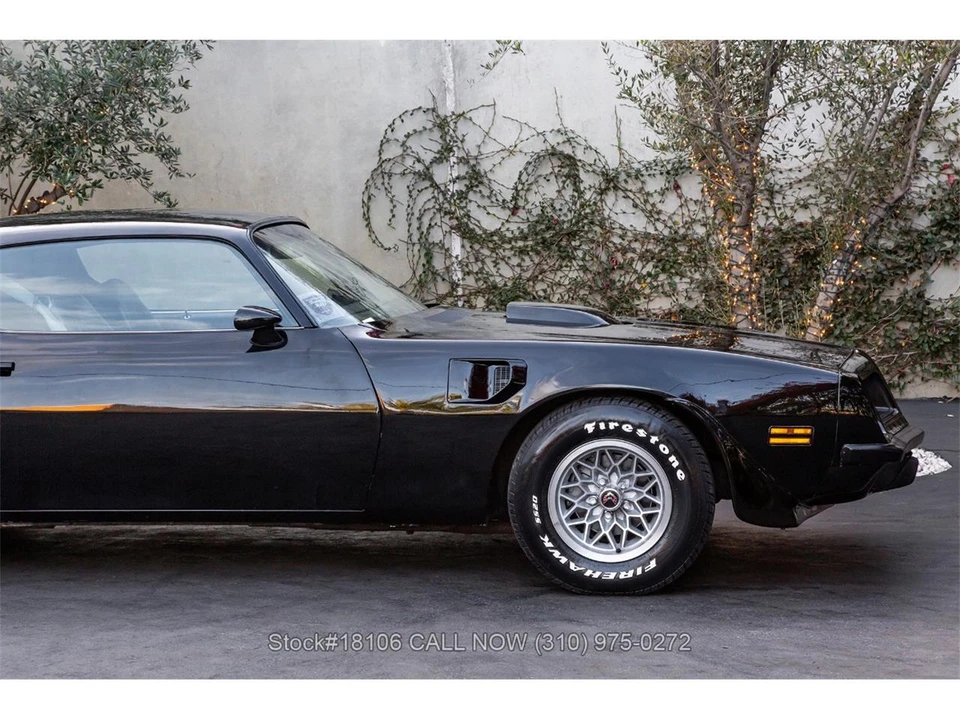 1974 Pontiac Firebird Trans Am 2nd Gen - Image 9 of 31