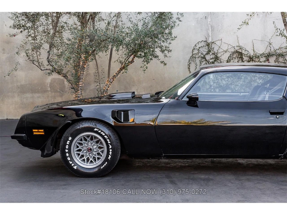 1974 Pontiac Firebird Trans Am 2nd Gen - Image 11 of 31