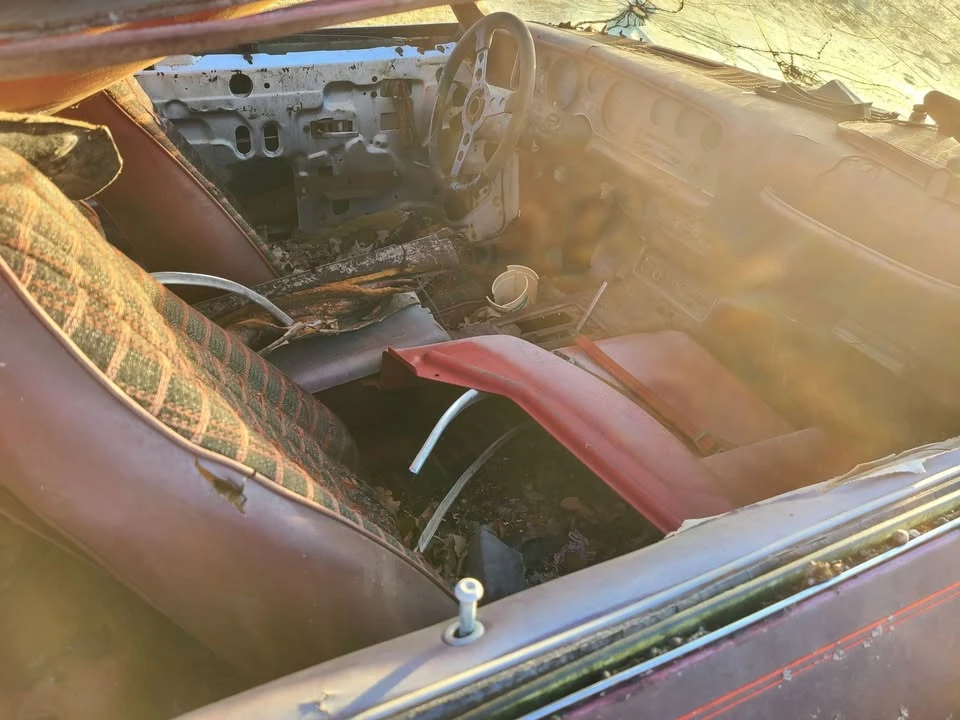 1974 Pontiac Firebird Formula 2nd Gen - Image 9 of 9