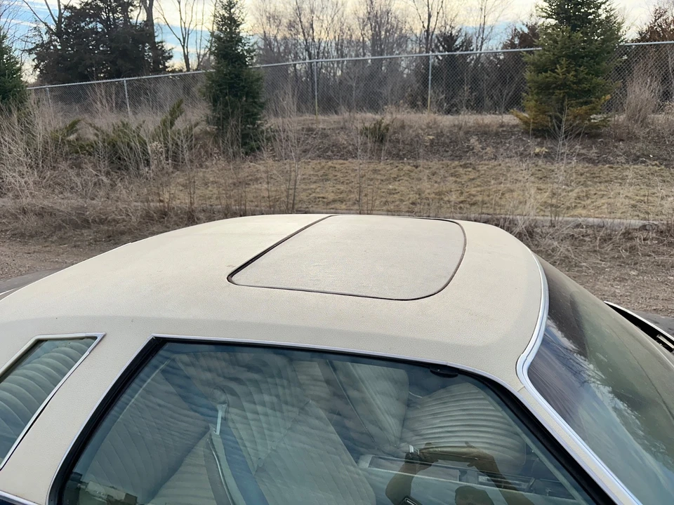 1974 Pontiac LeMans 4th+ Gen - Image 3 of 9