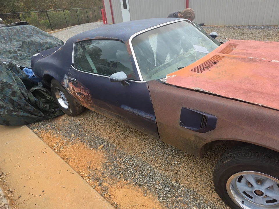 1974 Pontiac Firebird Trans Am 2nd Gen - Image 8 of 20