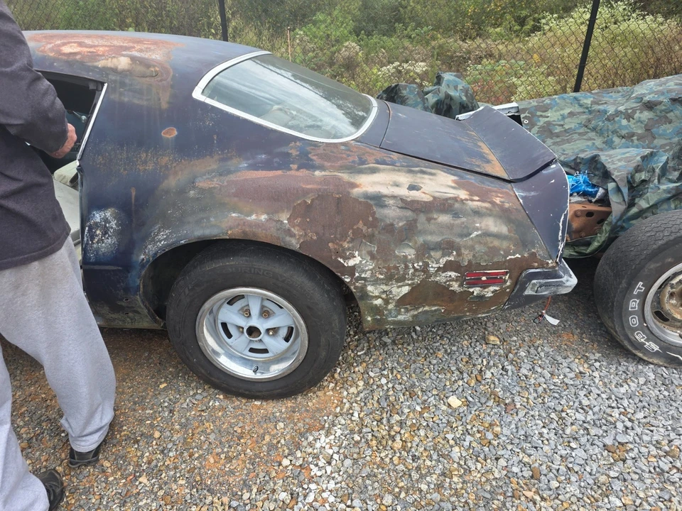 1974 Pontiac Firebird Trans Am 2nd Gen - Image 5 of 20