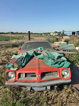1974 Pontiac Trans Am Firebird