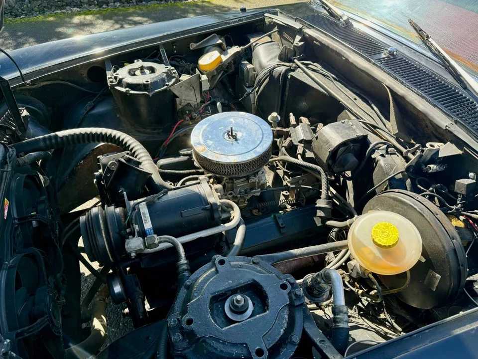 1974 Rolls-Royce Silver Shadow I - Image 19 of 20