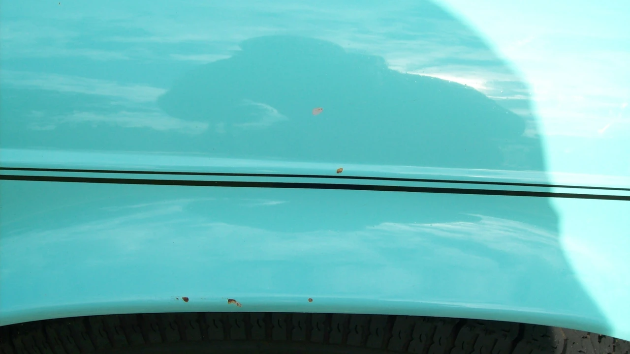 1974 Triumph TR6 (US-spec) - Image 16 of 31