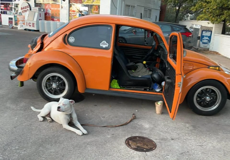 1974 Volkswagen Super Beetle - Image 2 of 3