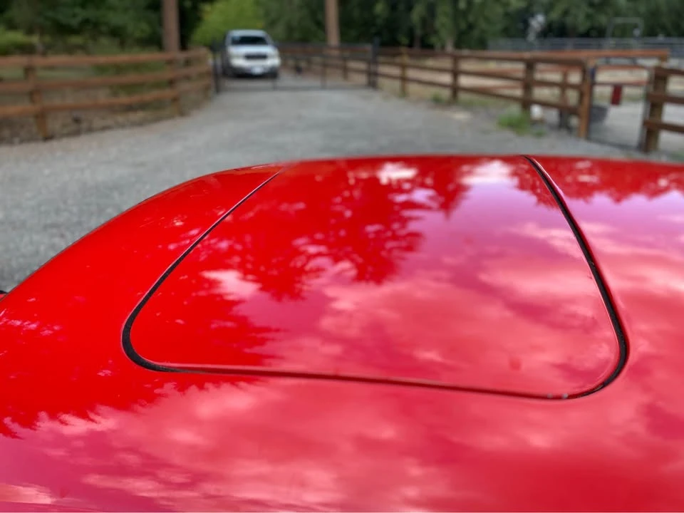 1974 Volkswagen Super Beetle - Image 9 of 18