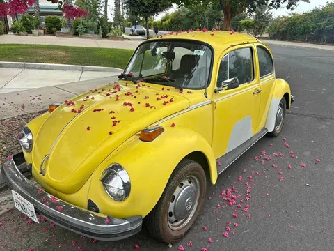 1974 Volkswagen Beetle