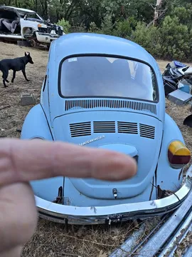 1974 Volkswagen Beetle #PinkBeetle Hatchback 2D