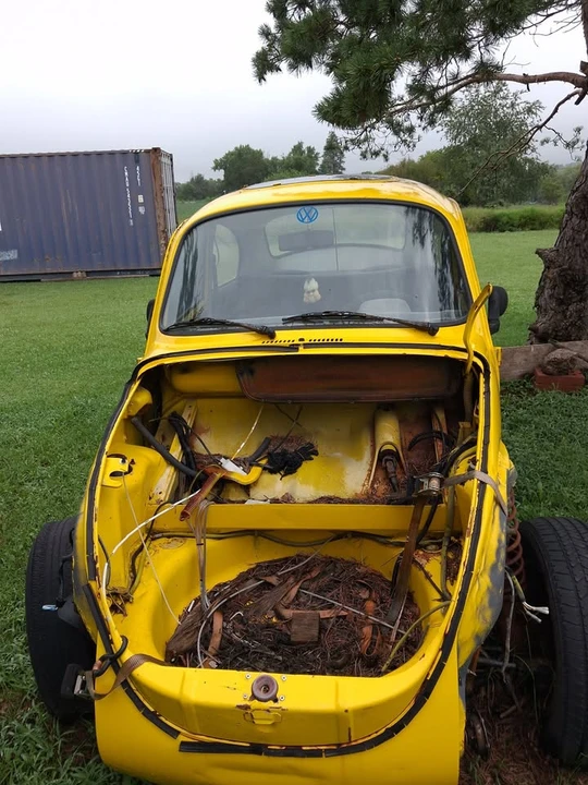 1974 Volkswagen Super Beetle - Image 15 of 20