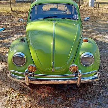 1974 Volkswagen Beetle Classic