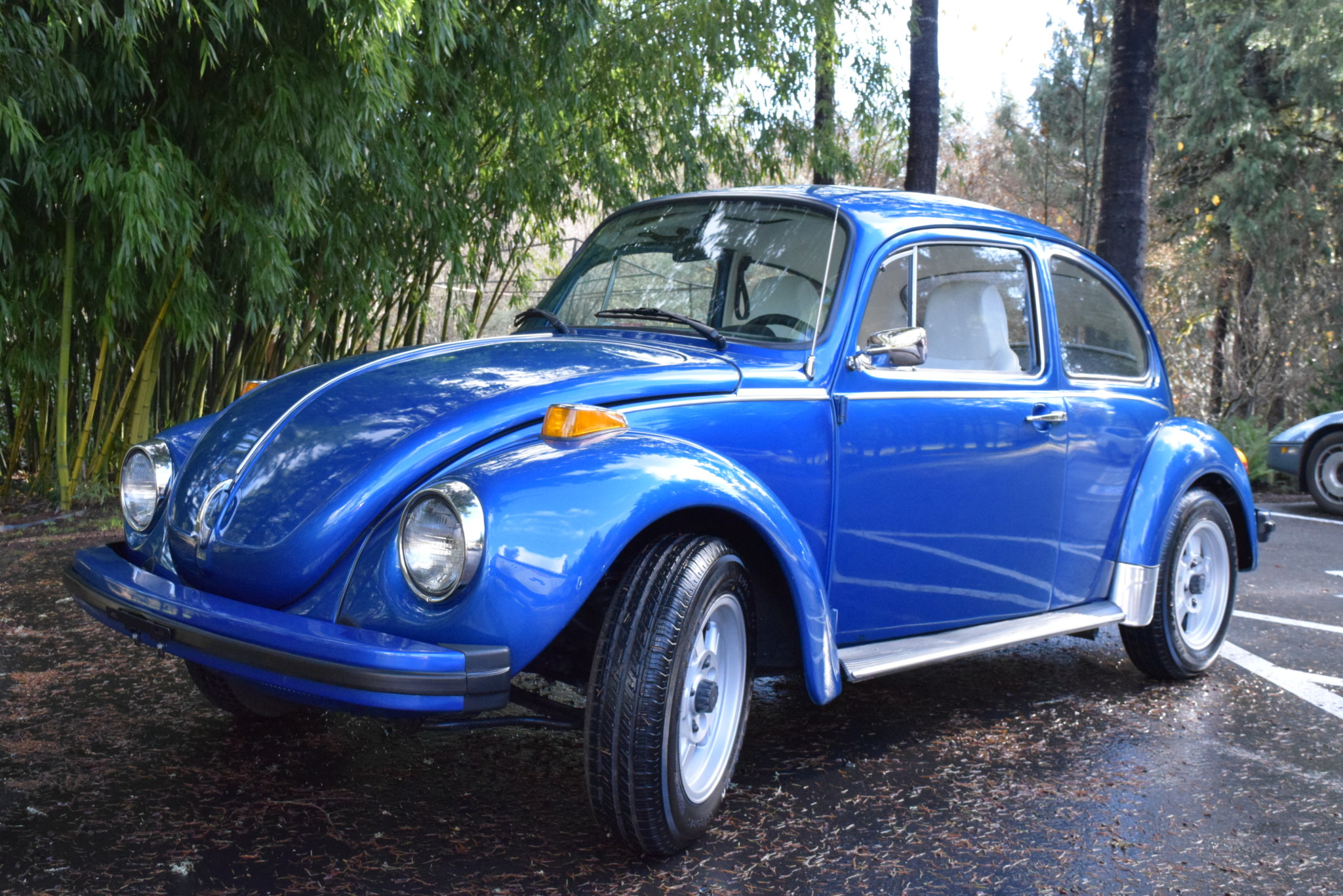 1974 Volkswagen Super Beetle