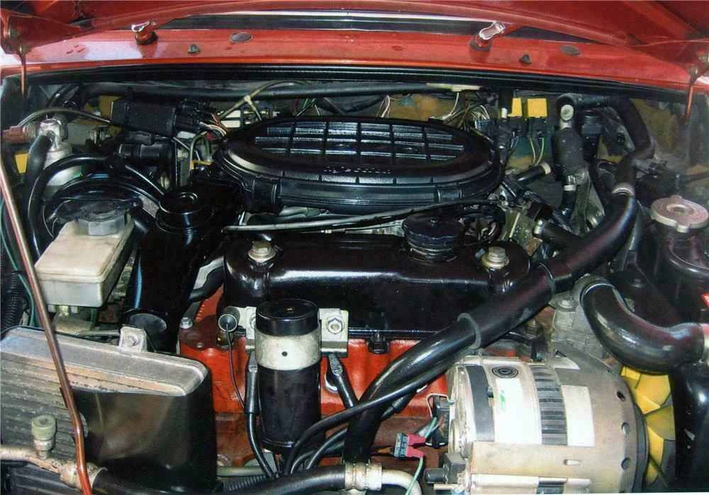 1975 Austin Mini - Image 3 of 4