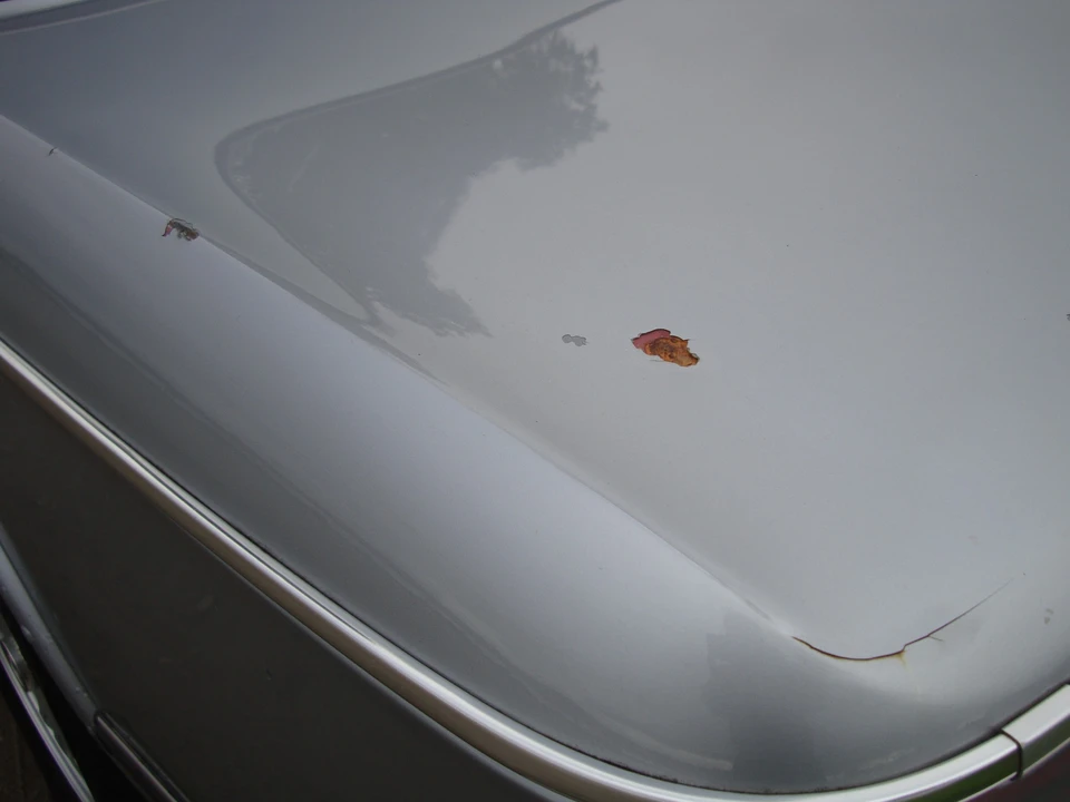 1975 BMW 2002 - Image 14 of 31