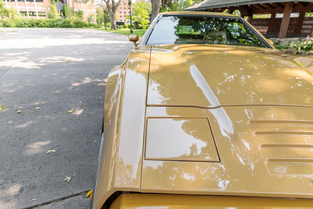 1975 Bricklin SV-1 - Image 14 of 31