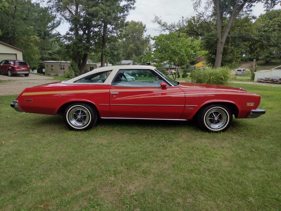 1975 Buick Century - Image 8 of 31