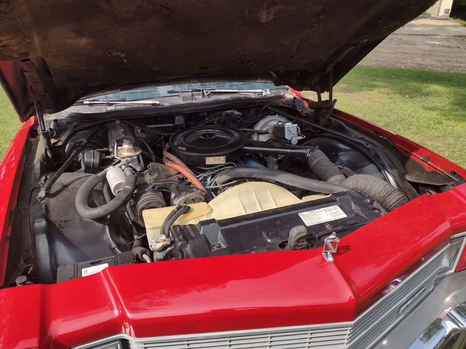 1975 Buick Century - Image 31 of 31