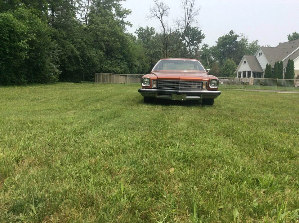 1975 Buick Century - Image 6 of 31