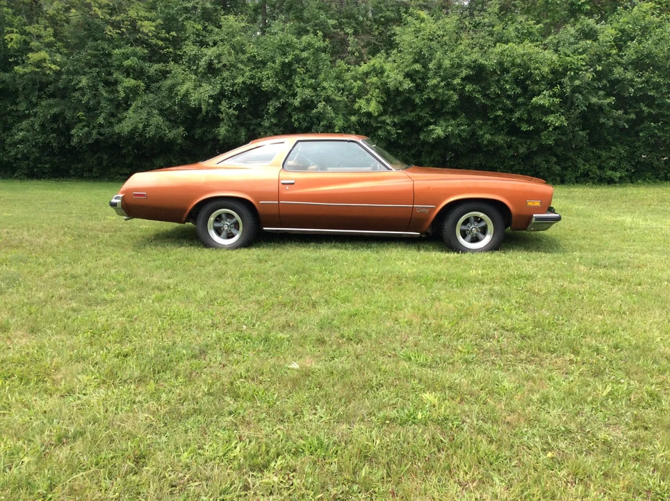 1975 Buick Century - Image 19 of 31