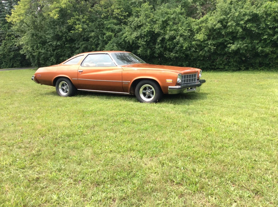1975 Buick Century - Image 17 of 31