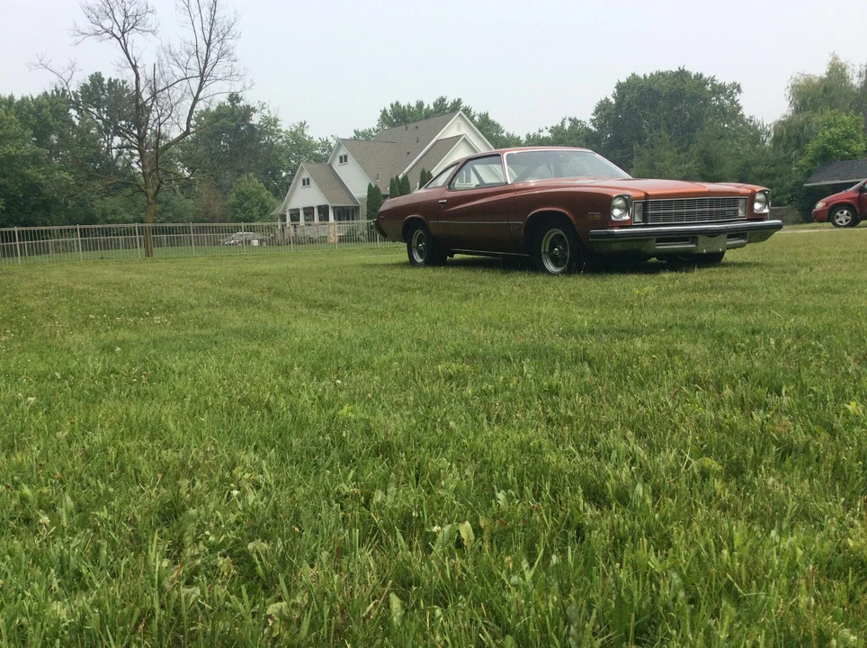 1975 Buick Century - Image 15 of 31