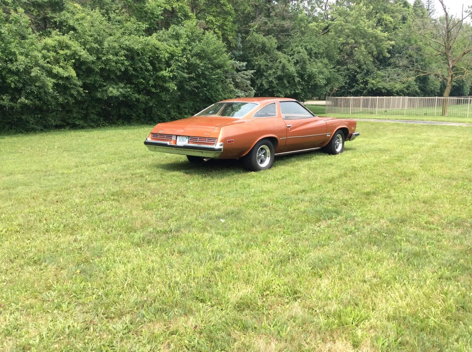 1975 Buick Century - Image 24 of 31