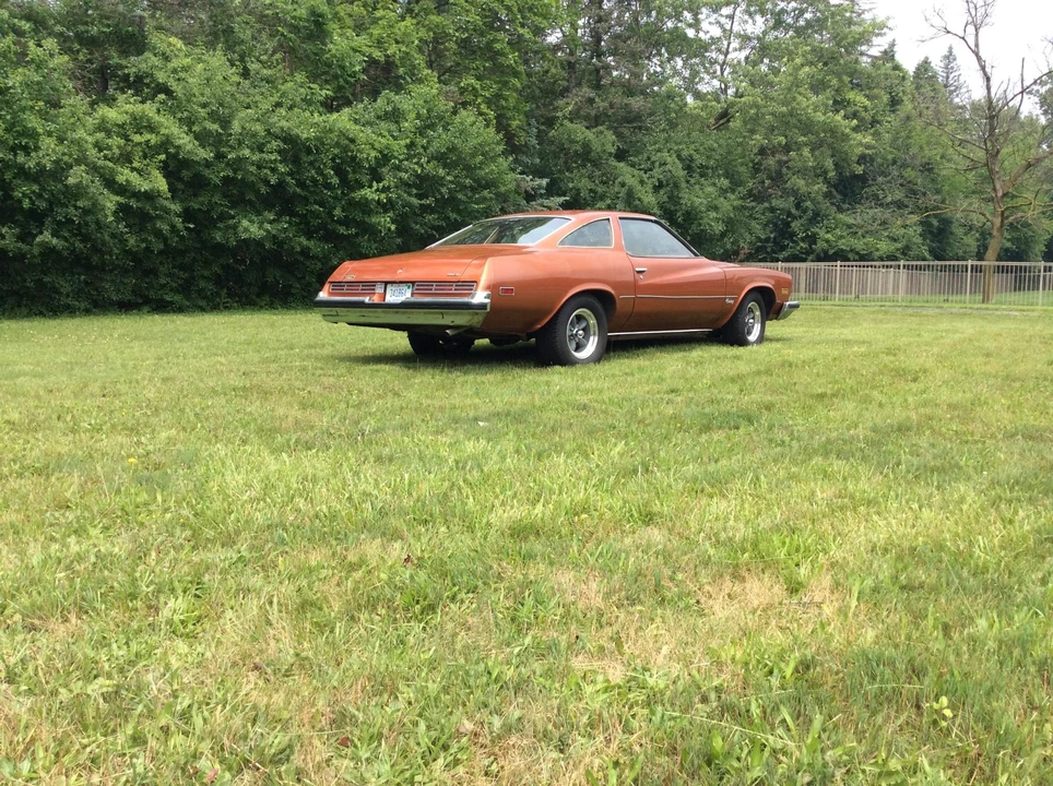 1975 Buick Century - Image 25 of 31