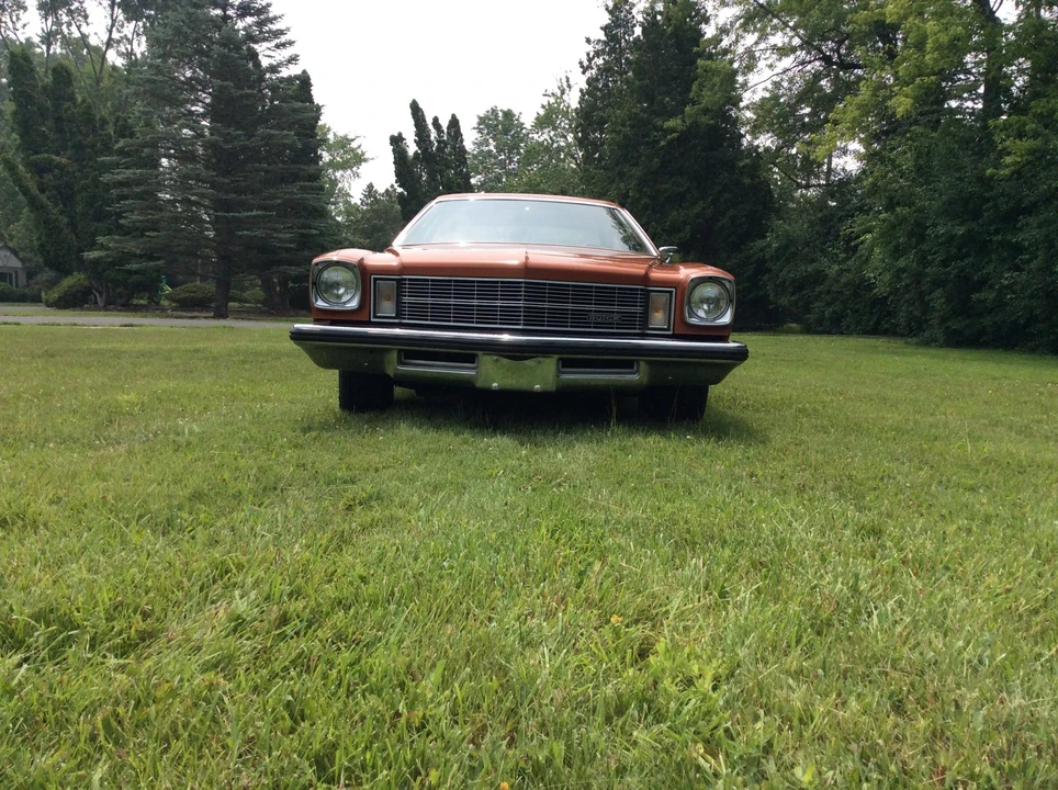 1975 Buick Century - Image 9 of 31