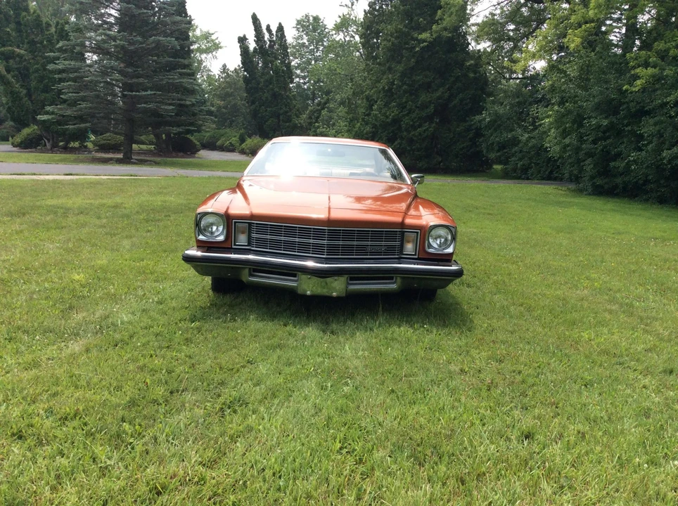 1975 Buick Century - Image 8 of 31