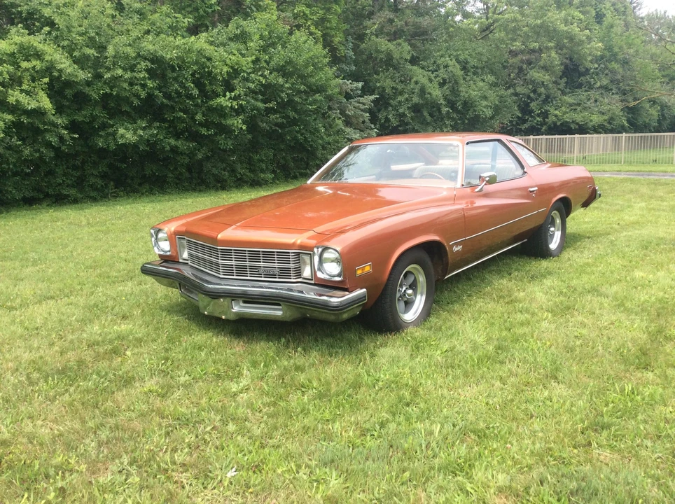 1975 Buick Century - Image 4 of 31