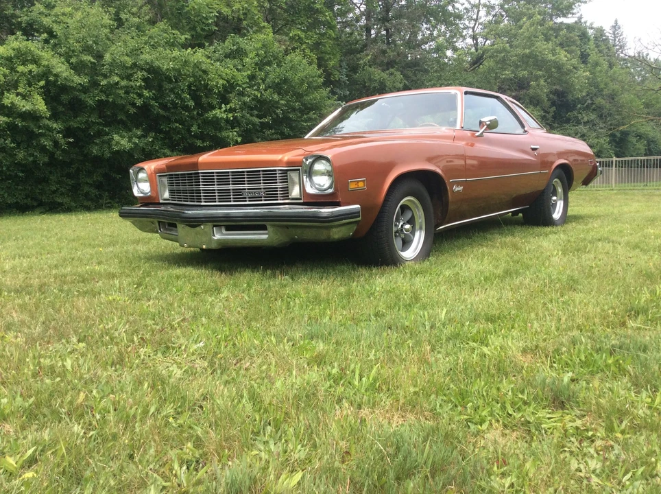 1975 Buick Century - Image 5 of 31