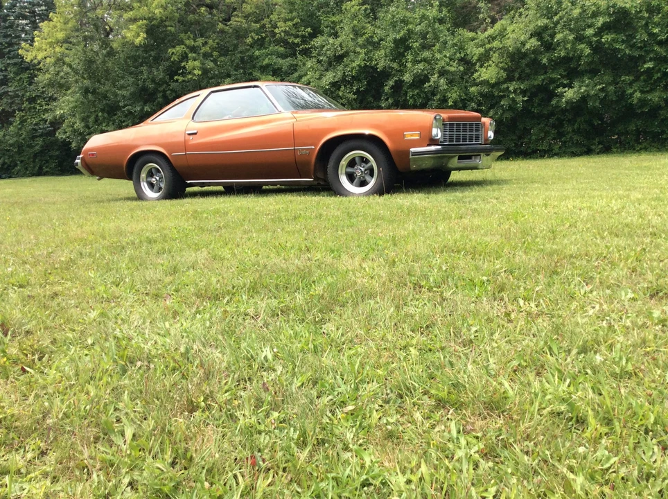 1975 Buick Century - Image 16 of 31