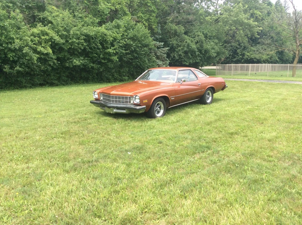1975 Buick Century - Image 2 of 31