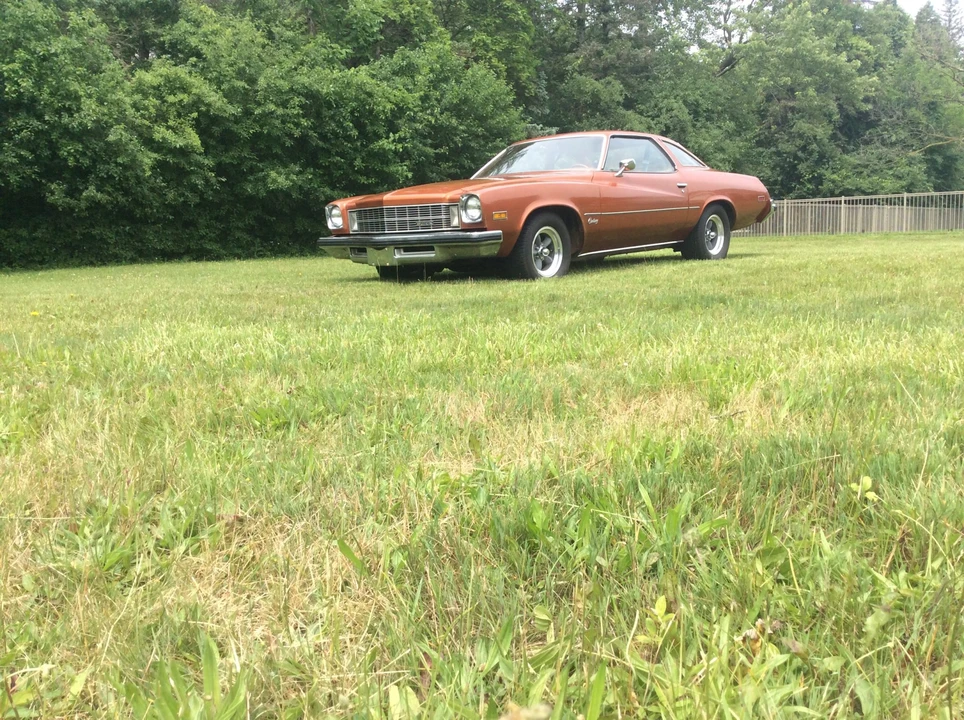1975 Buick Century - Image 3 of 31