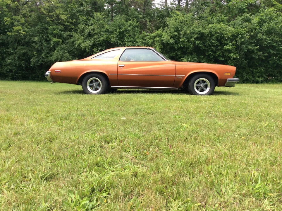 1975 Buick Century - Image 18 of 31