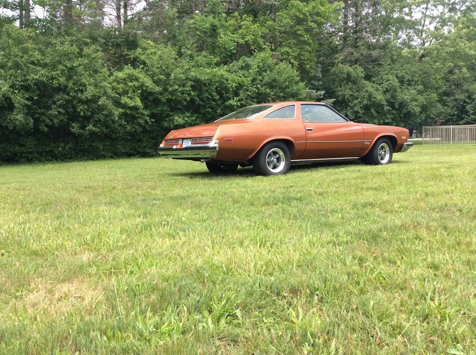 1975 Buick Century - Image 22 of 31