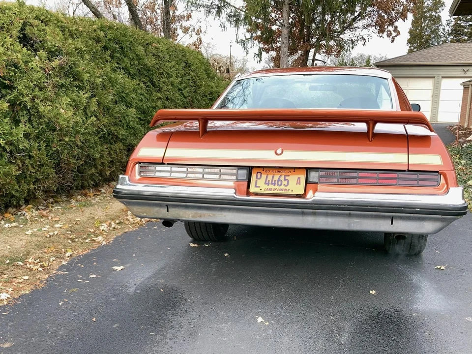 1975 Buick Century - Image 12 of 31