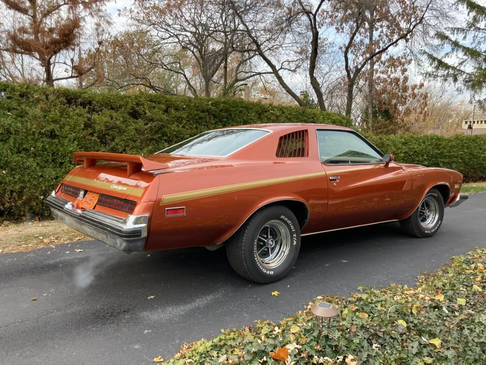 1975 Buick Century - Image 17 of 31