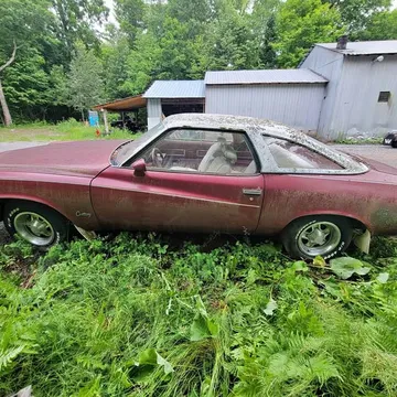 1975 Buick Century