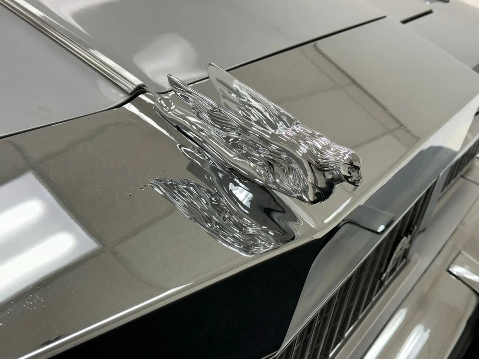1975 Buick Electra - Image 10 of 21