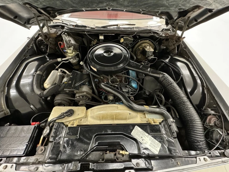 1975 Buick Electra - Image 21 of 21