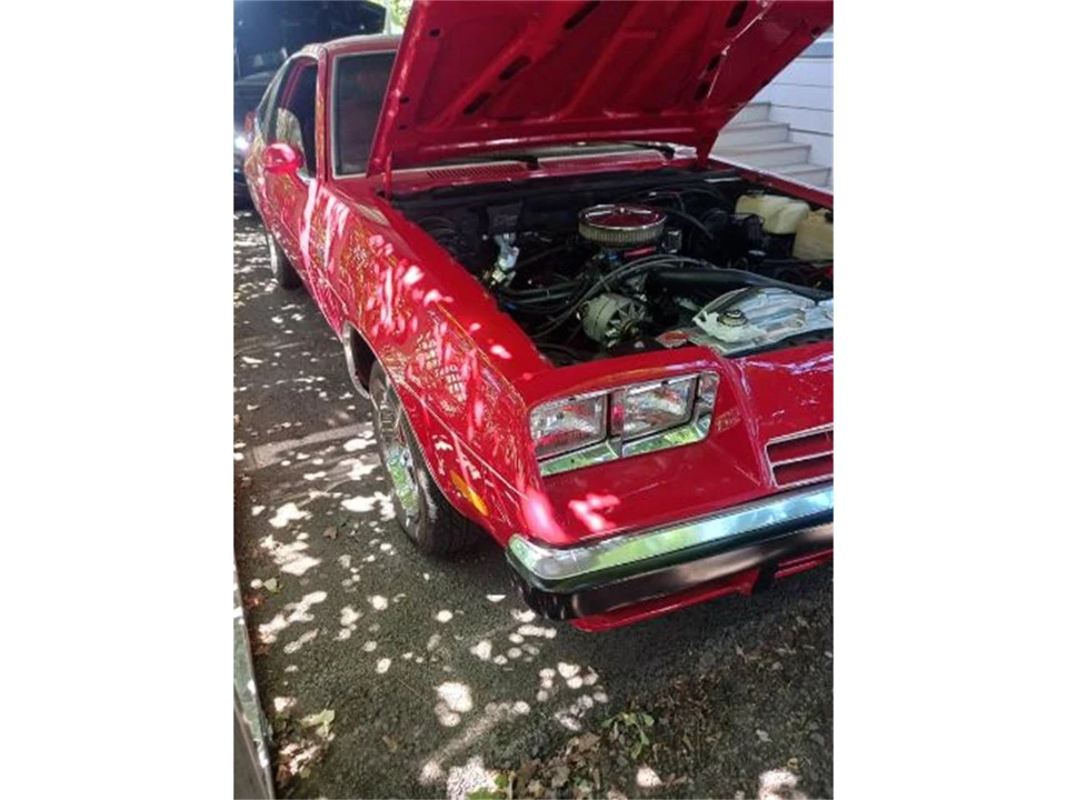 1975 Buick Skylark - Image 6 of 8