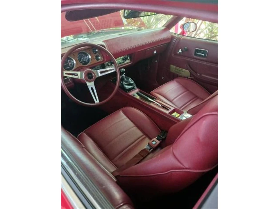 1975 Buick Skylark - Image 3 of 8