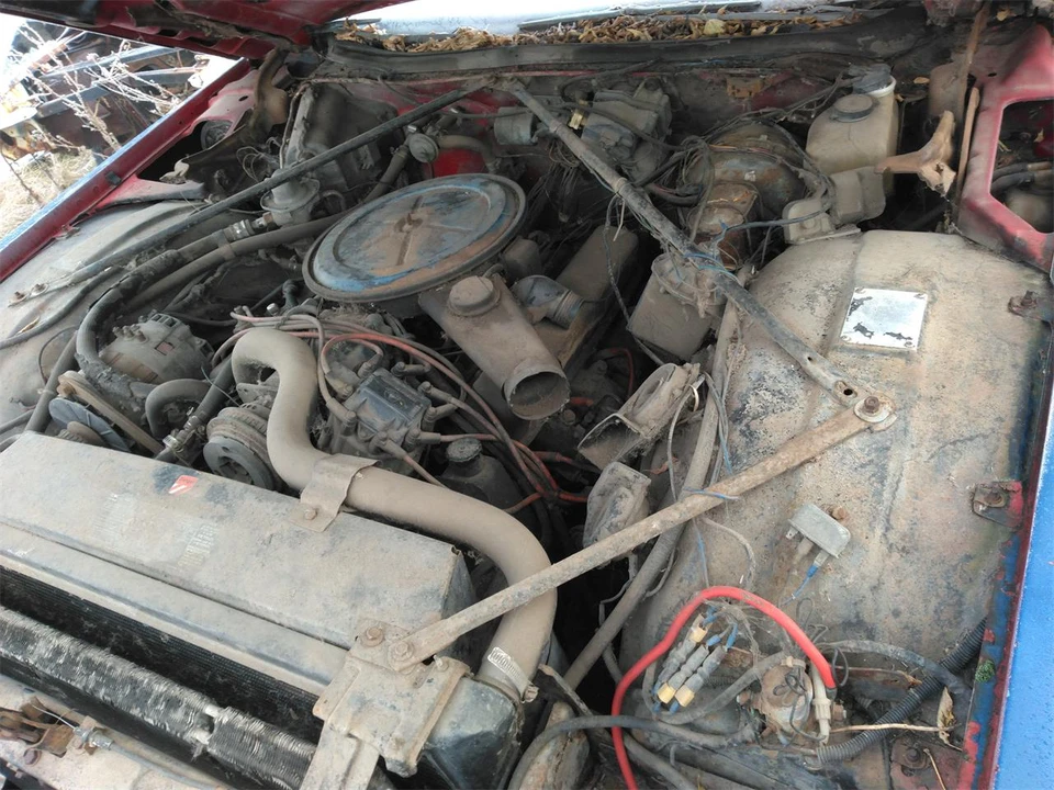 1975 Cadillac Series 70 & 75 - Image 12 of 14